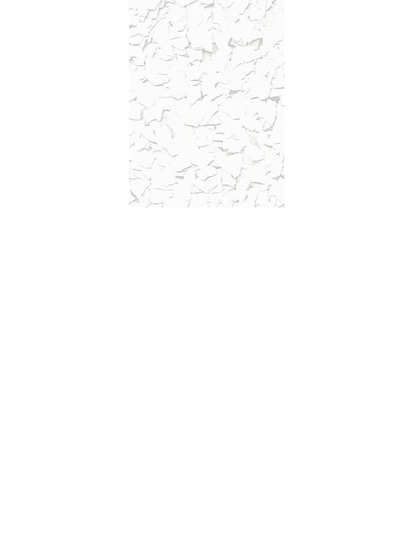 FLAKY colored chips for EPOXY and WALL PAINTS