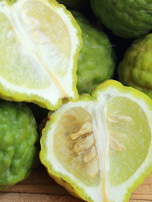 BERGAMOT - naravno eterično olje