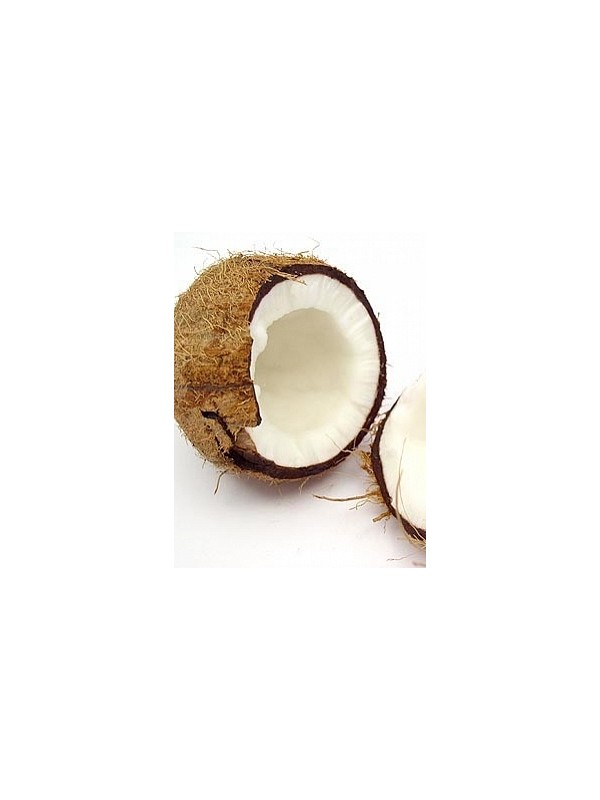 COCONUT perfume oil