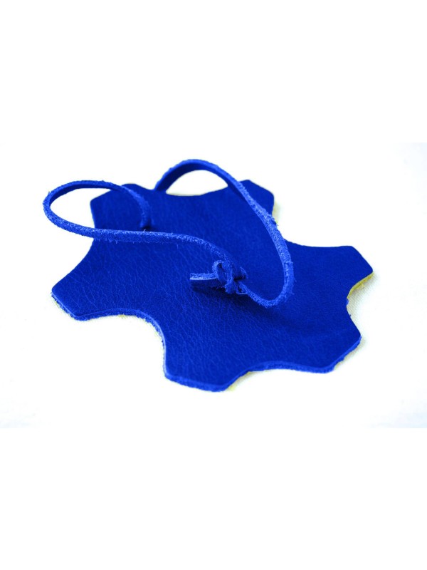 AVIVO Barva za usnje BRILJANTNO MODRA 100 ml