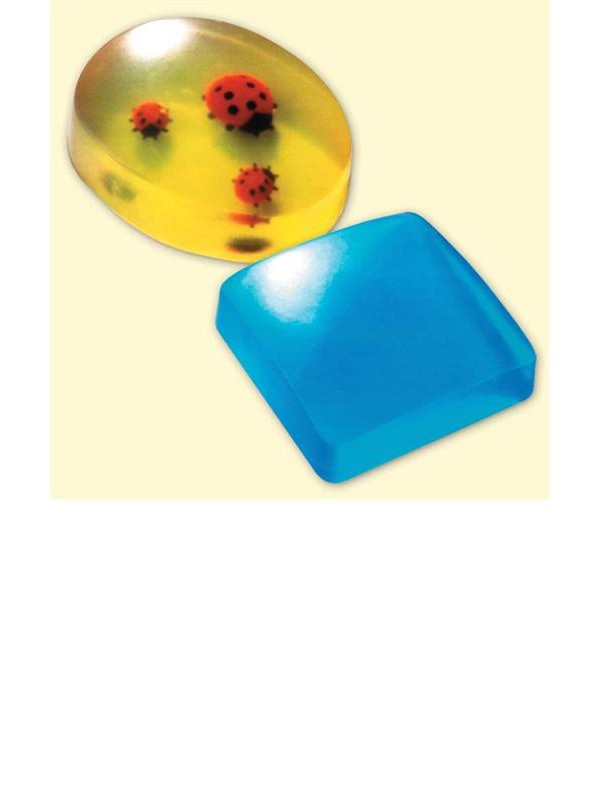 SOAP MOULD  Oval / Square