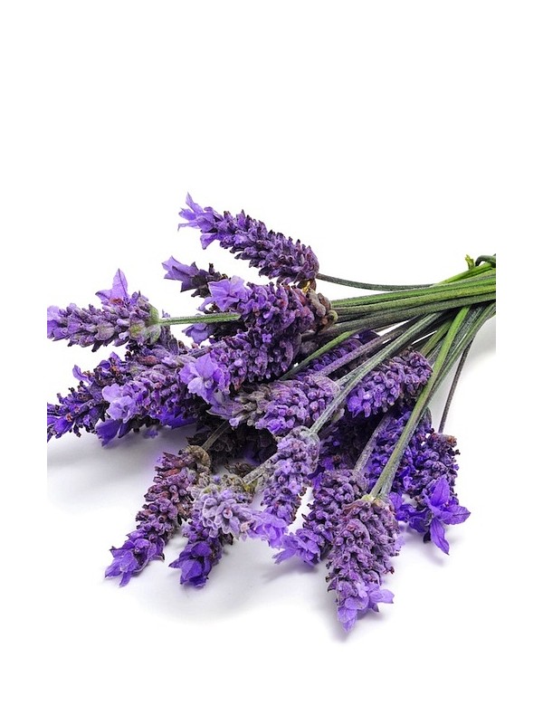 LAVENDER  perfume oil