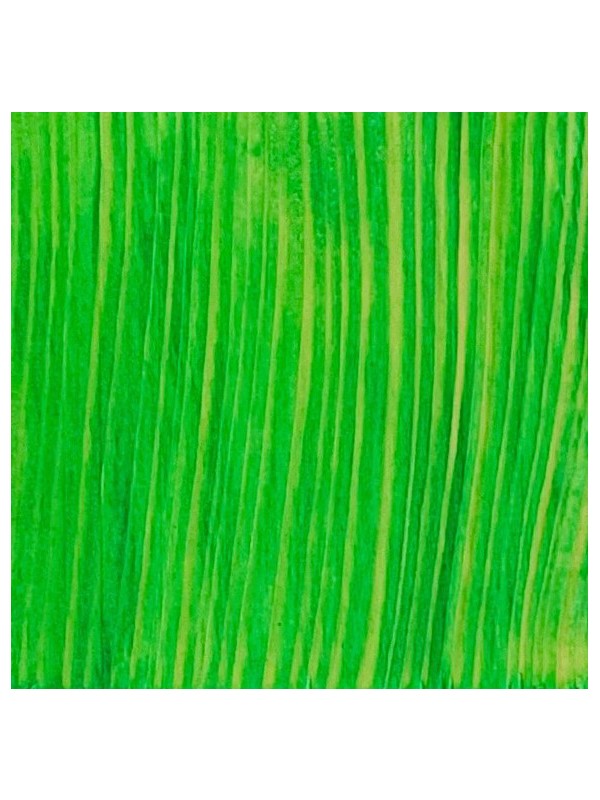 WOOD STAIN alcohol based BRILLIANT GREEN 10 g