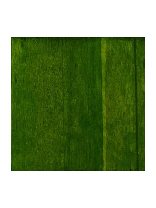 Wood dye GREEN water-based