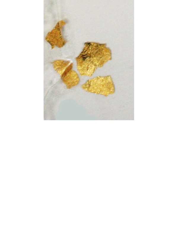 JEDILNO ZLATO Zlat prah  22 karat  -  grob  (velikost 4)      1g
